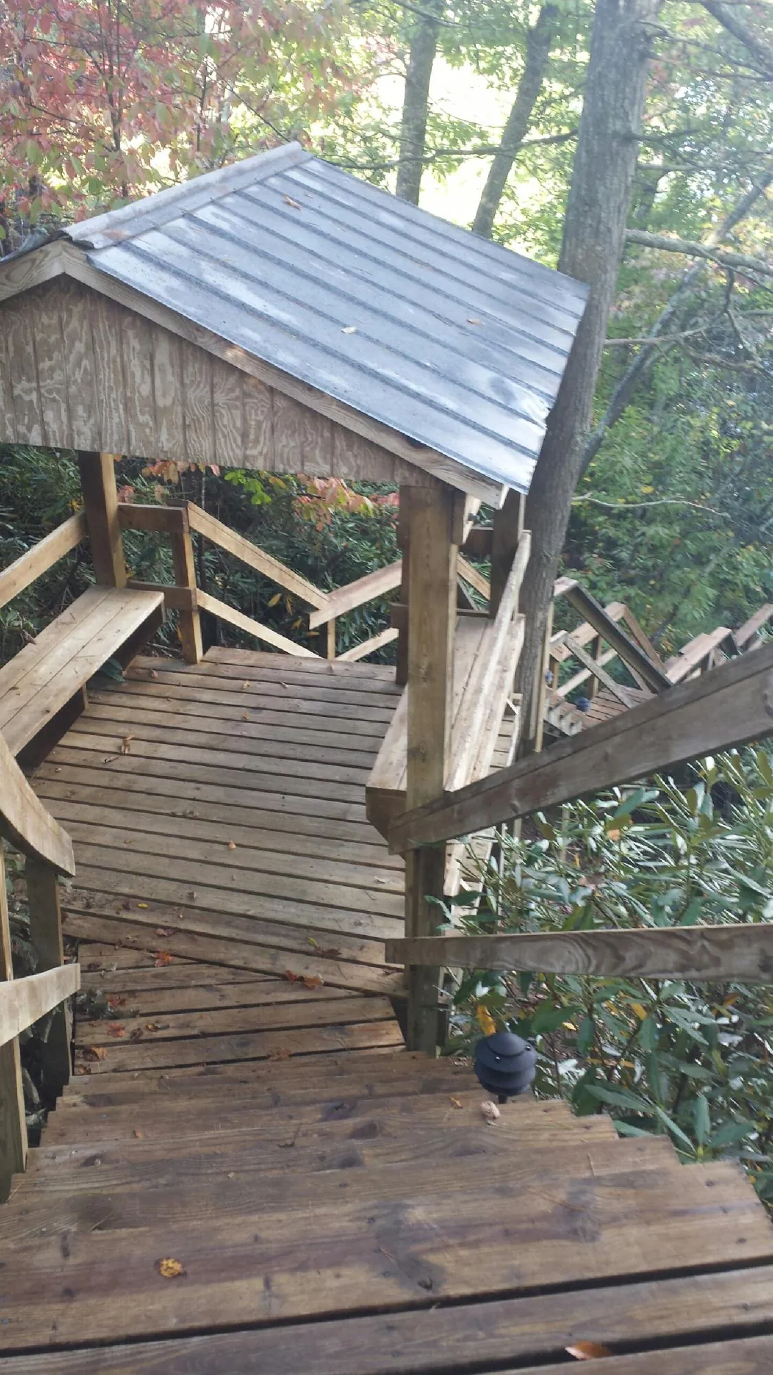 Metal roofed shelter over wooden steps on a wooded walkway in West Newton